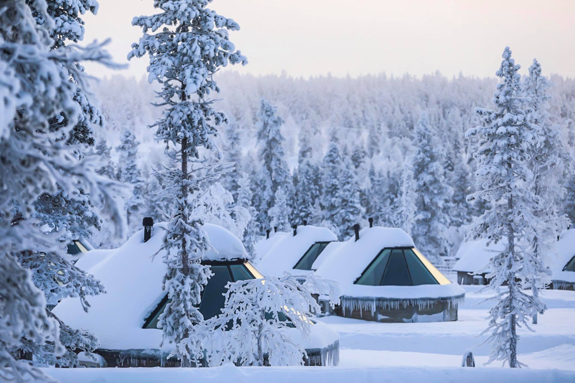 Snow-covered glass igloo cabins at Northern Lights Village among frosted pines in Saariselkä