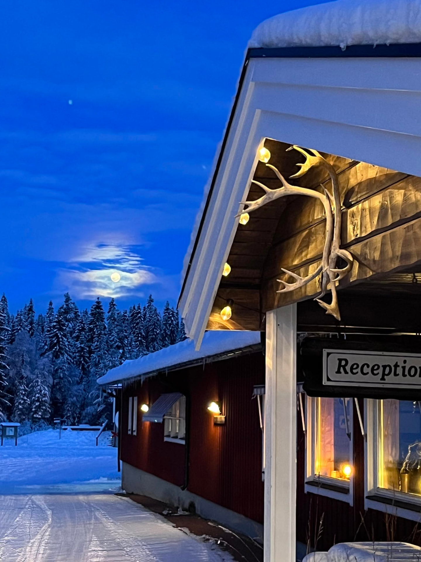 Björkliden Hotell Fjället