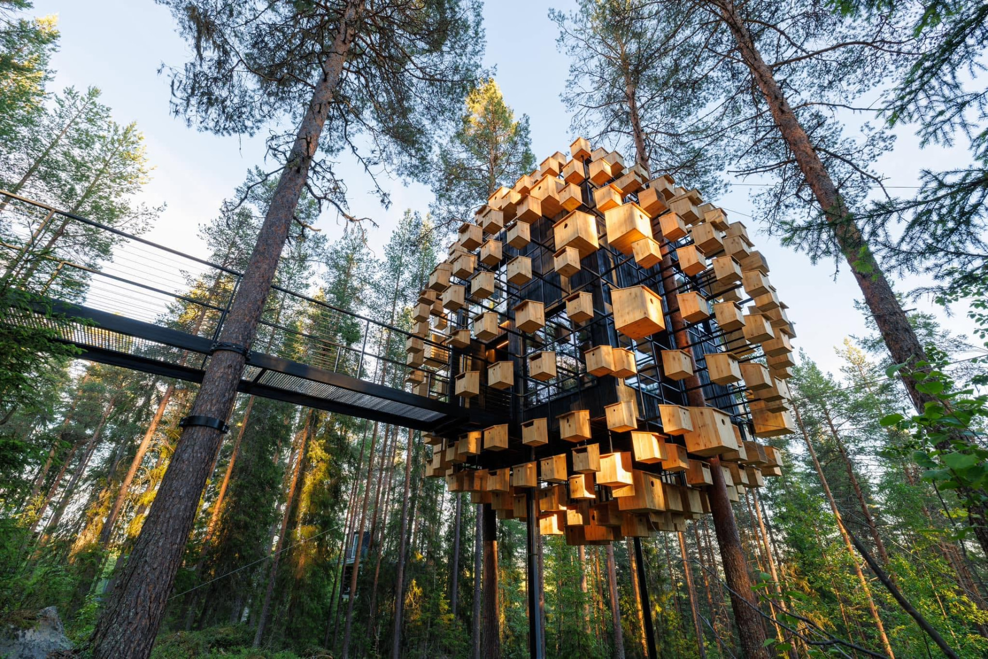 Treehotel in Harads